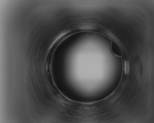 X0000052600723200507160010