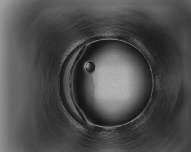 X0000052600725200507160010