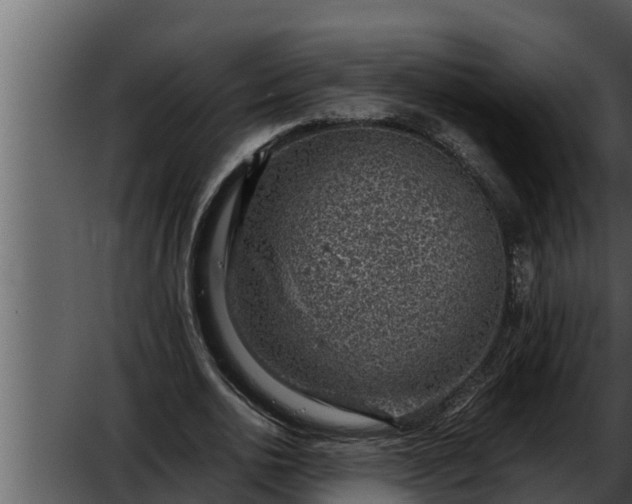 X0000052600726200507160010