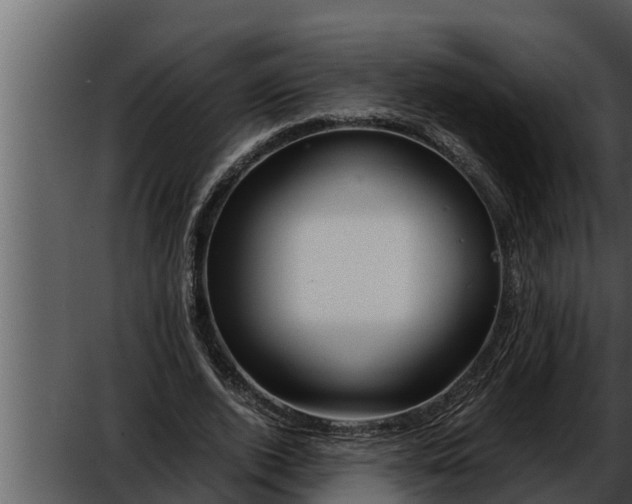 X0000052600728200507160010