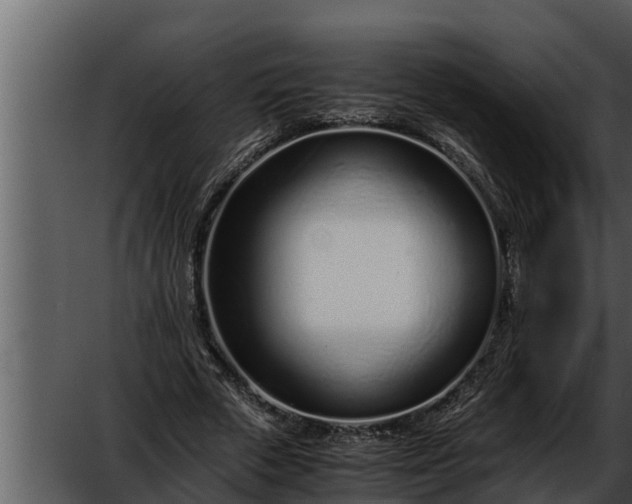 X0000052600729200507160010