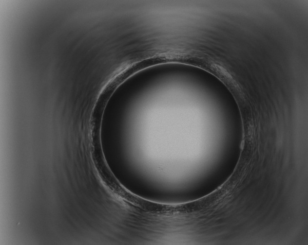 X0000052600730200507160010