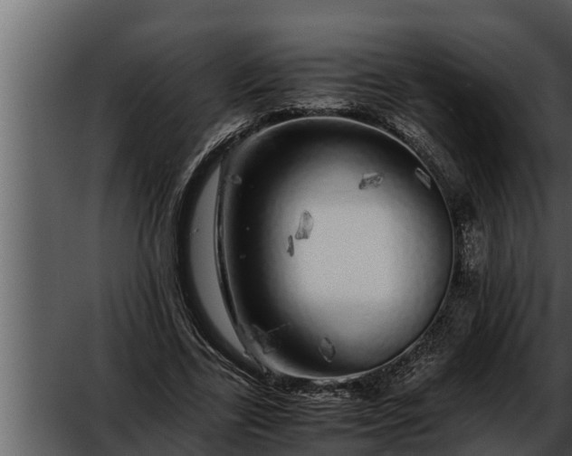 X0000052600731200507160010