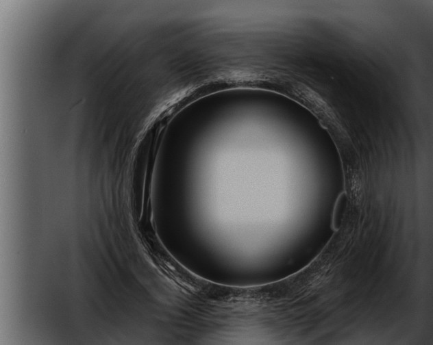 X0000052600732200507160010