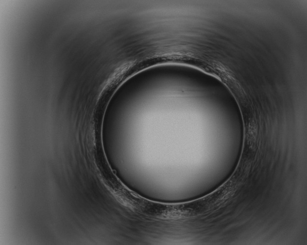 X0000052600734200507160010