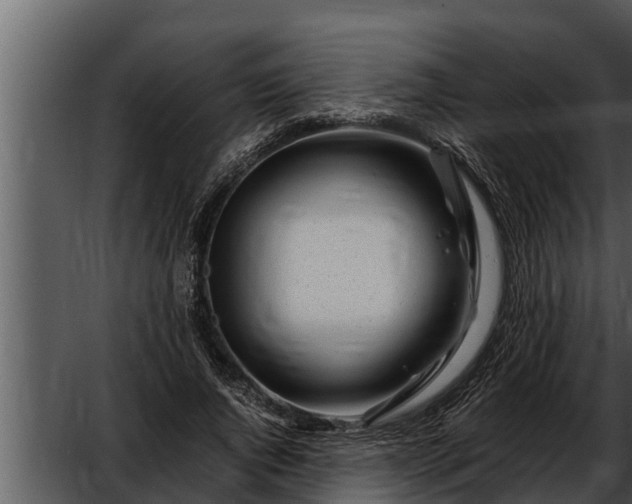 X0000052600736200507160010