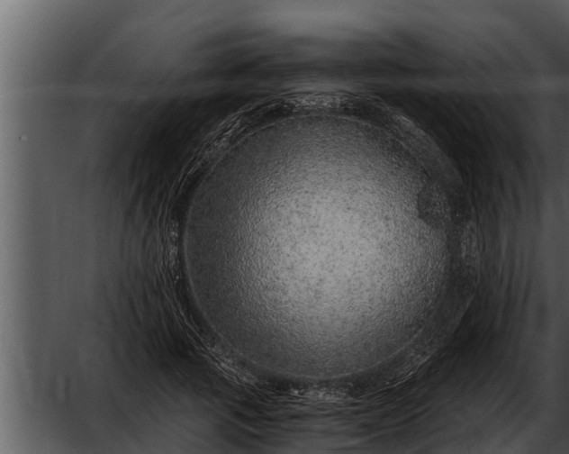 X0000052600737200507160010