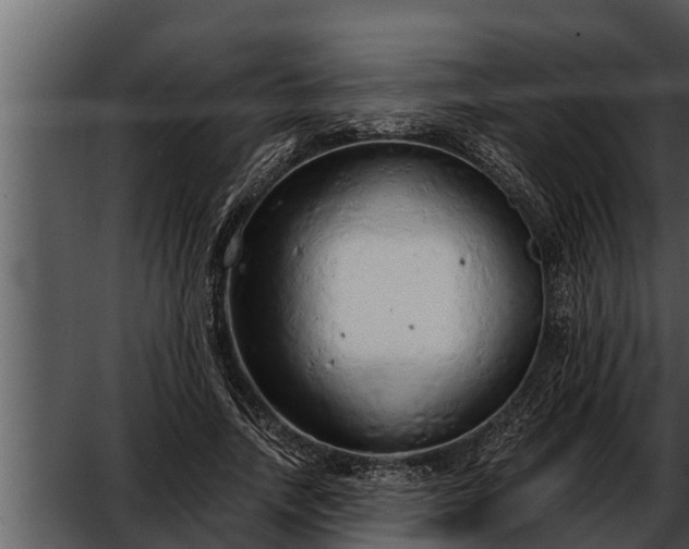 X0000052600738200507160010