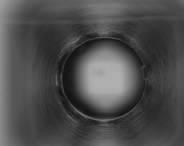 X0000052600740200507160010