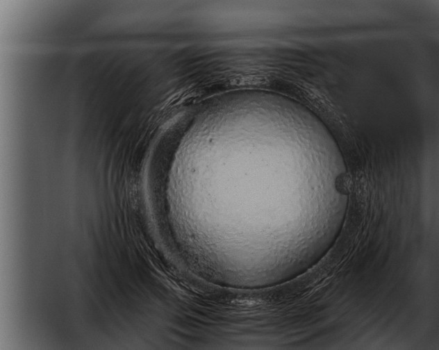 X0000052600741200507160010