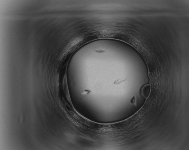 X0000052600742200507160010