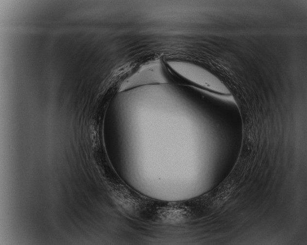 X0000052600743200507160010