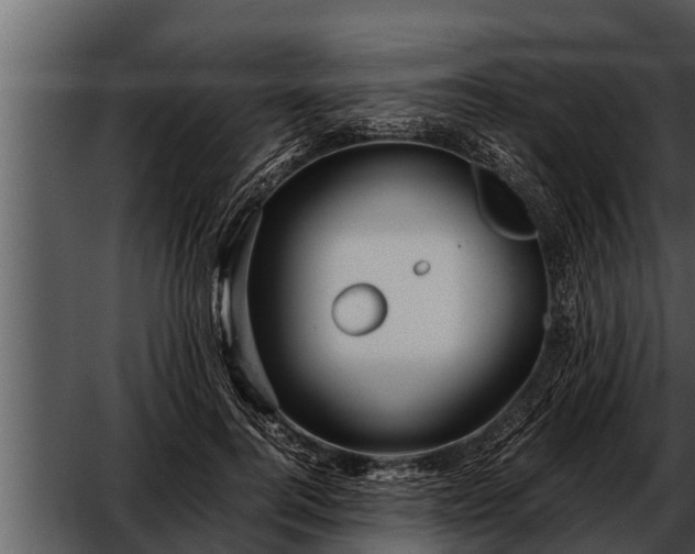 X0000052600744200507160010