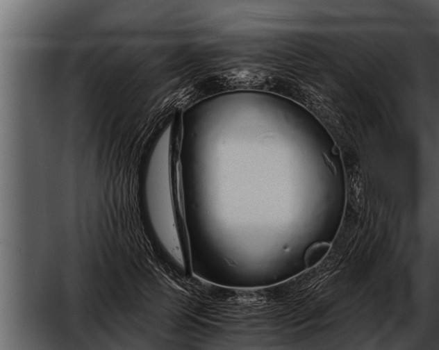 X0000052600745200507160010