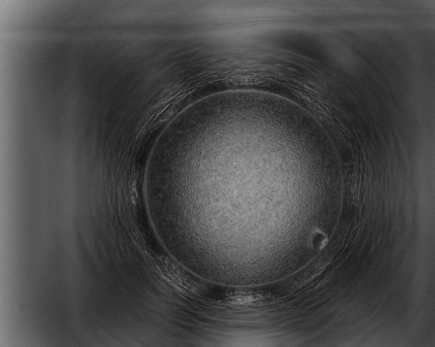 X0000052600746200507160010