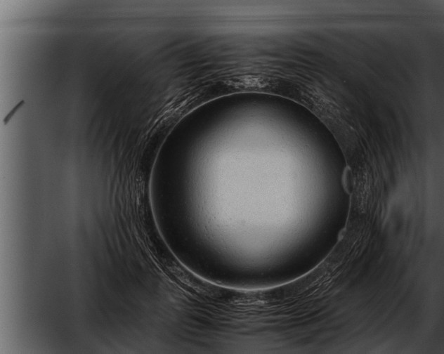 X0000052600747200507160010