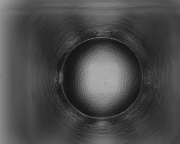 X0000052600748200507160010