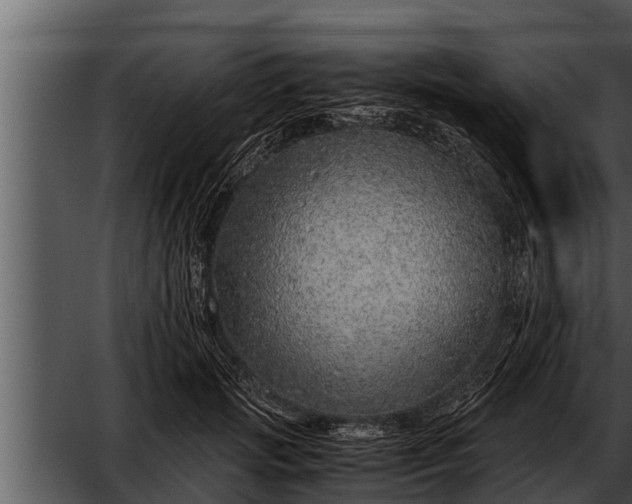 X0000052600749200507160010