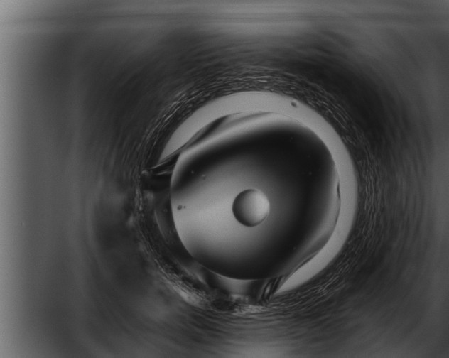 X0000052600750200507160010