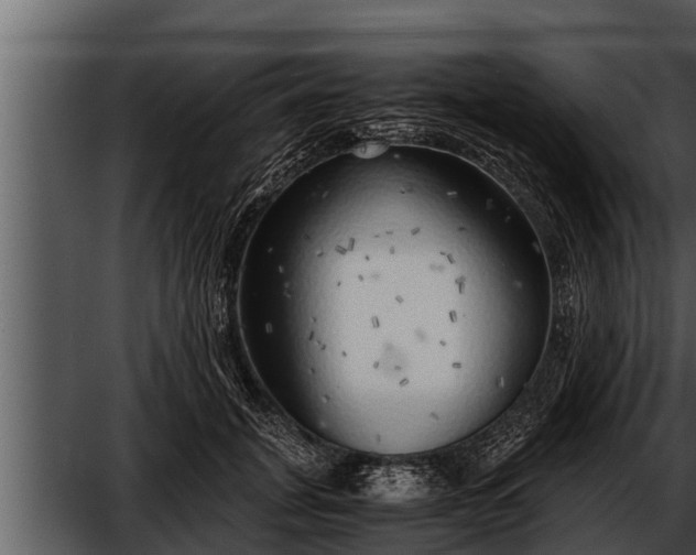 X0000052600751200507160010