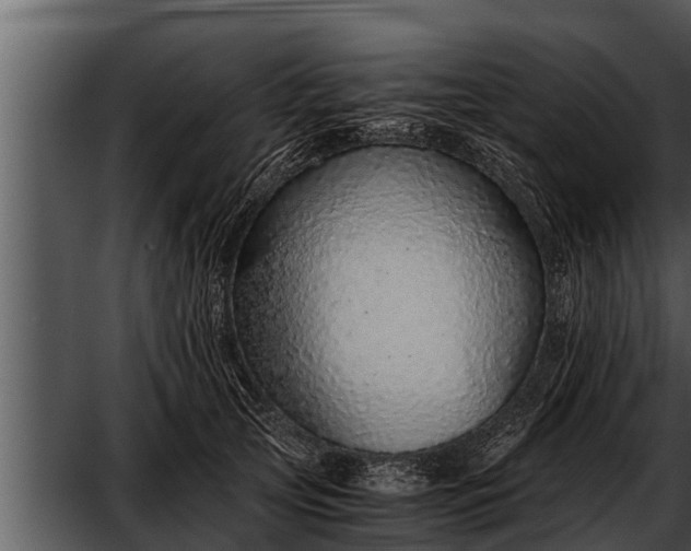 X0000052600753200507160010