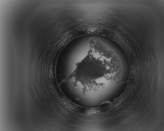 X0000052600754200507160010