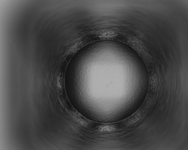 X0000052600755200507160011