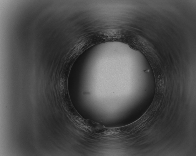 X0000052600756200507160011