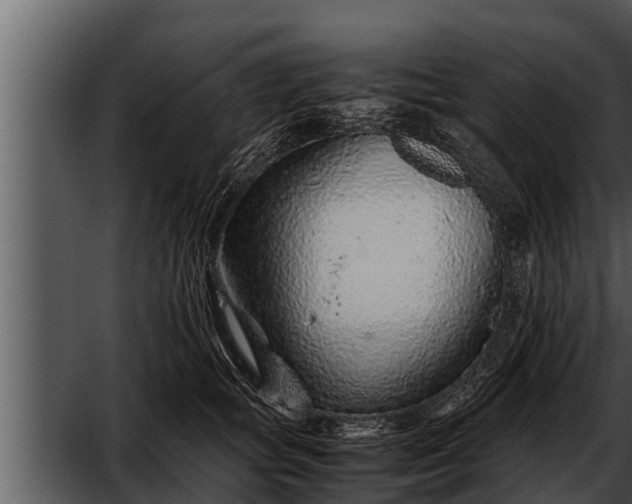 X0000052600757200507160011