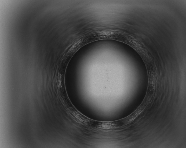 X0000052600758200507160011