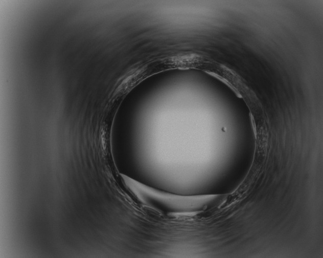 X0000052600762200507160011