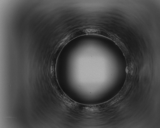 X0000052600763200507160011