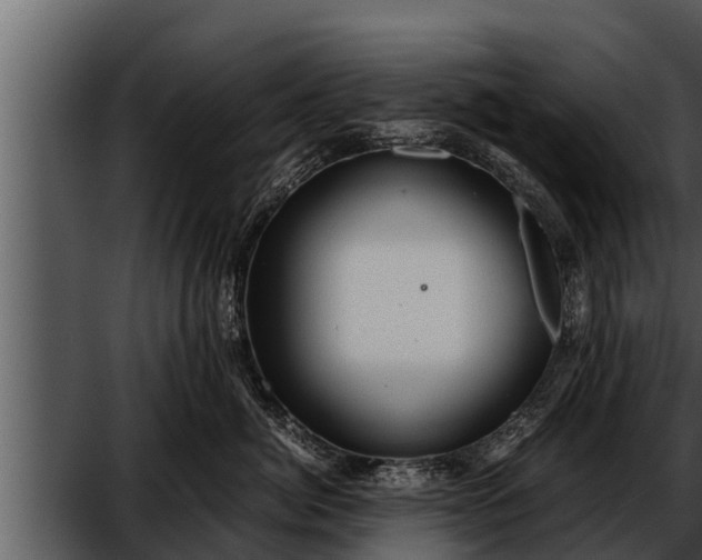 X0000052600764200507160011