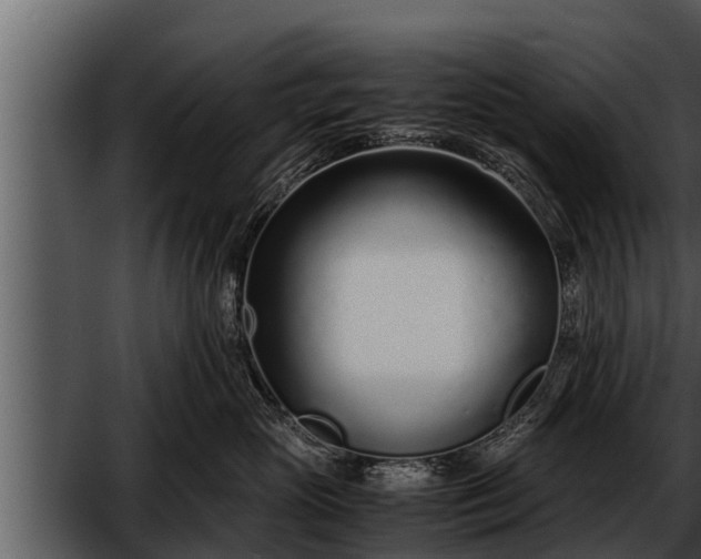 X0000052600765200507160011