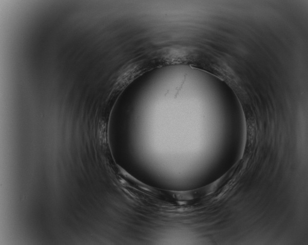 X0000052600766200507160011