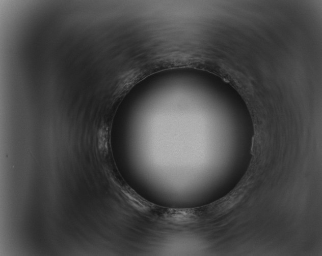 X0000052600768200507160011