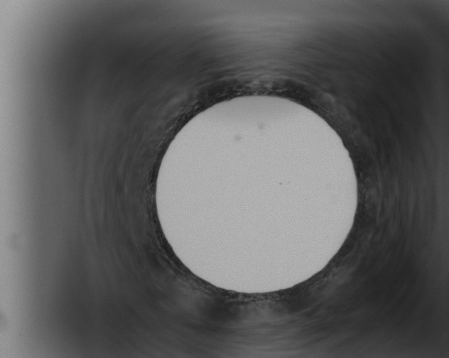 X0000052600769200507160010