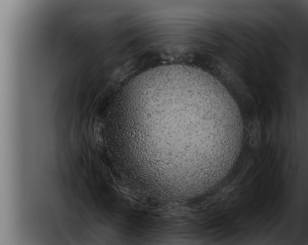 X0000052600770200507160010