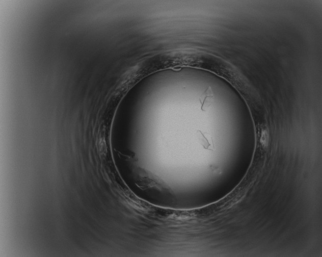 X0000052600771200507160010