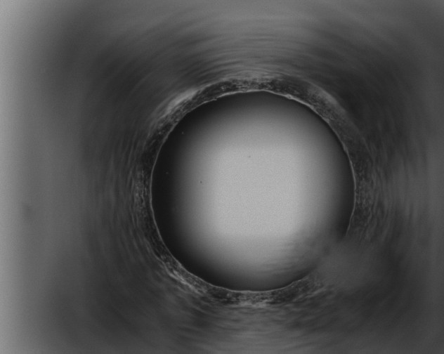 X0000052600773200507160010