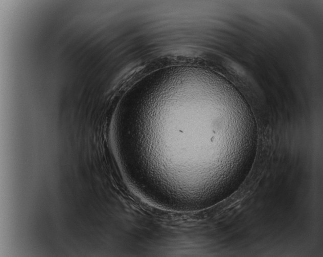 X0000052600774200507160010