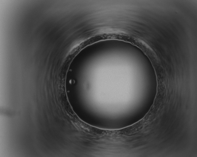 X0000052600775200507160010