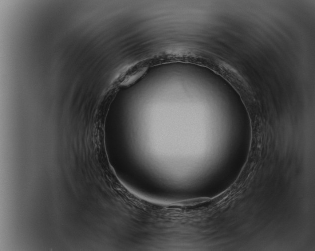 X0000052600776200507160010