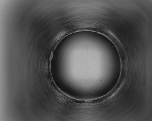 X0000052600777200507160010