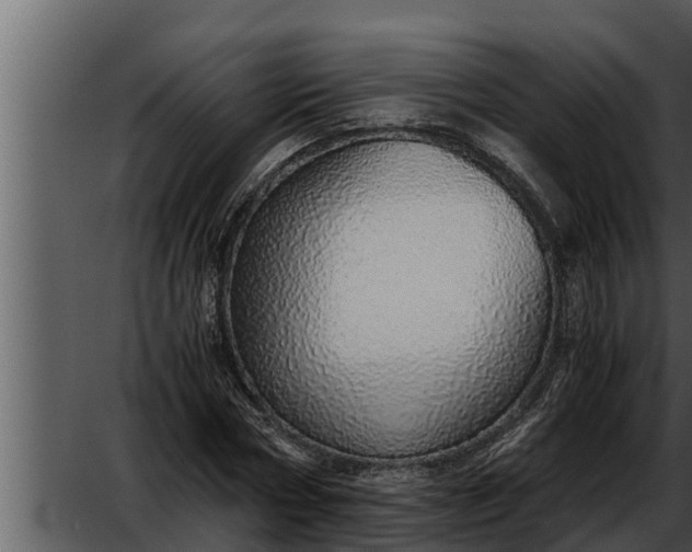 X0000052600778200507160010