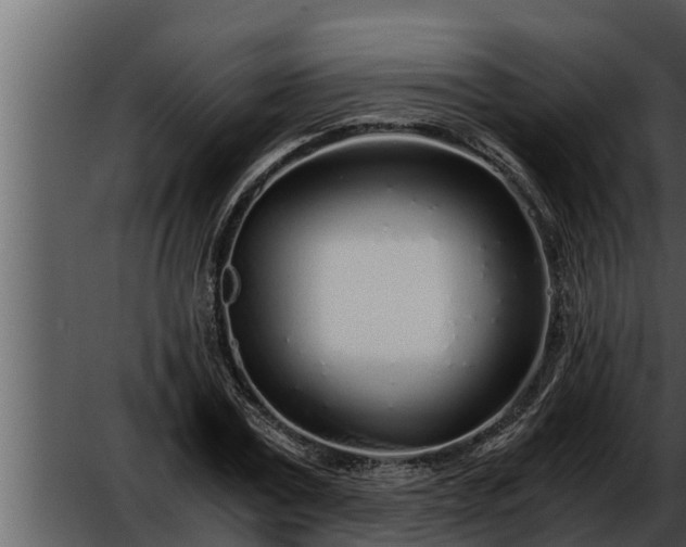 X0000052600779200507160010