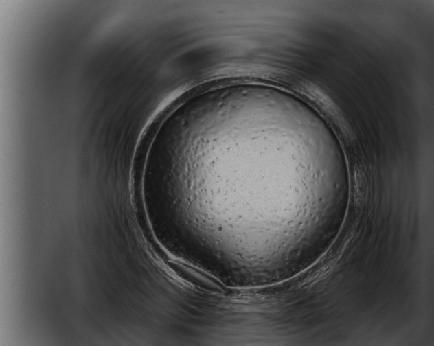 X0000052600780200507160010