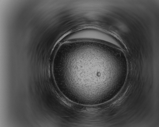 X0000052600782200507160010