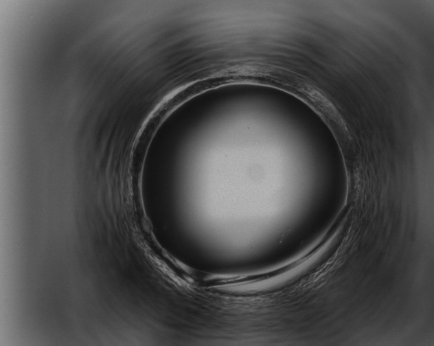 X0000052600784200507160010