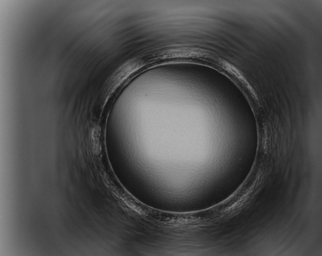 X0000052600786200507160010